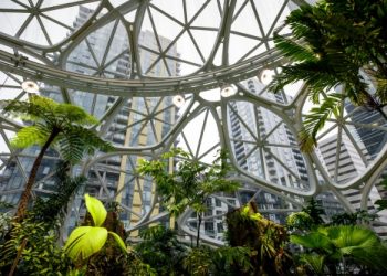 AWS headquarters in Seattle, WA. (JORDAN STEAD / Amazon)