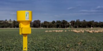 This Goanna Ag rain gauge will use Myriota's direct-to-orbit satellite network to share data with its owner. Picture: Julian Simon Nguyen.