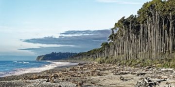 Tasman Sea in New Zealand (Image by Makalu from Pixabay)