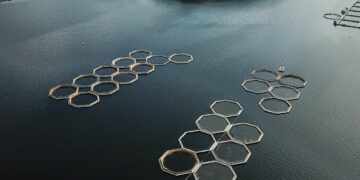 Photo by Alexey Komissarov: https://www.pexels.com/photo/aerial-shot-of-fish-pens-in-the-lake-9022596/