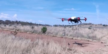 XAG Agricultural Drone seeded the degraded pasture in Australia.